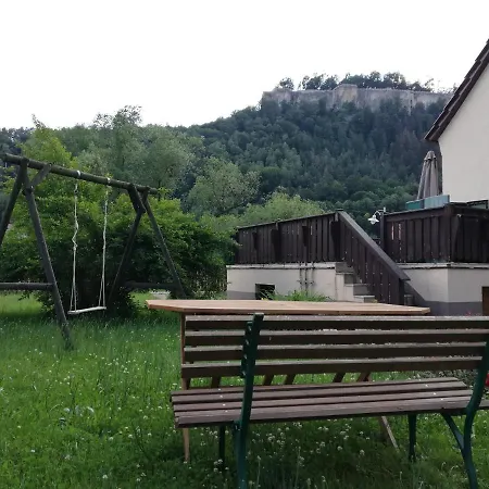 Gaensebluemchen Königstein an der Elbe