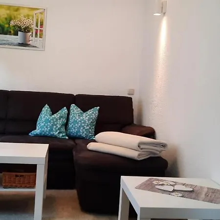 Gaensebluemchen Dom wakacyjny Königstein an der Elbe