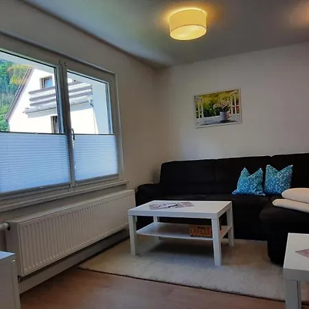 Gaensebluemchen Königstein an der Elbe