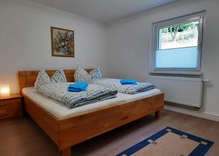 Gaensebluemchen Königstein an der Elbe